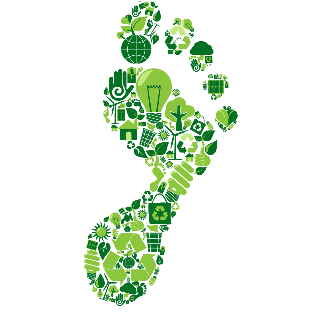 Carbon Footprint Icon